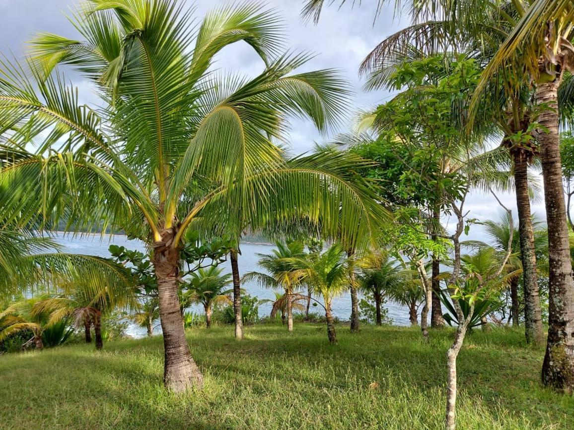 Quintal Da Mata Otel Camburi  Dış mekan fotoğraf